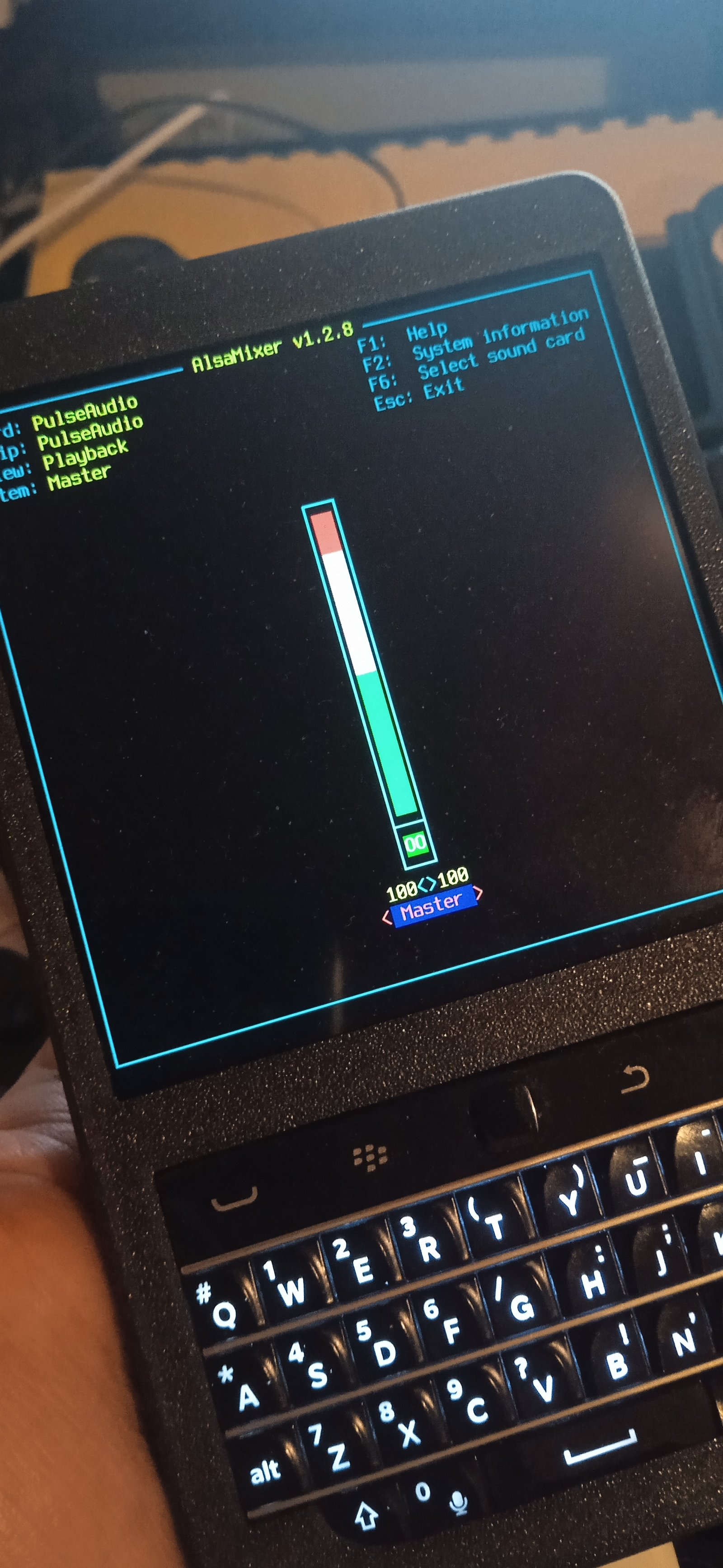 Alsamixer IMG_20241027_230550